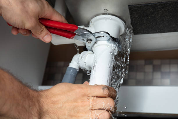 Best Ceiling water damage repair  in Pho, IL