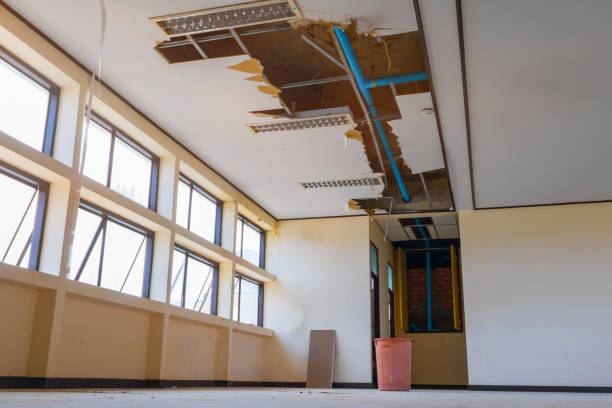 Best Fire Damage Restoration  in Pho, IL
