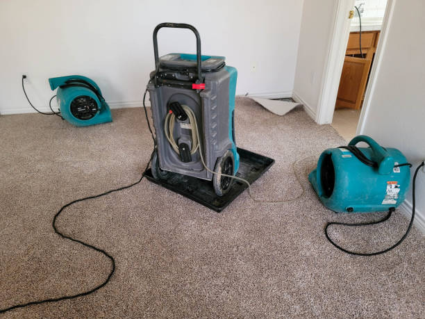 Best Water damage restoration near me  in Pho, IL