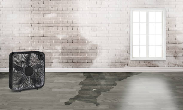 Best Flooded house restoration  in Pho, IL