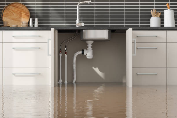  Pho, IL Water damage restoration Pros