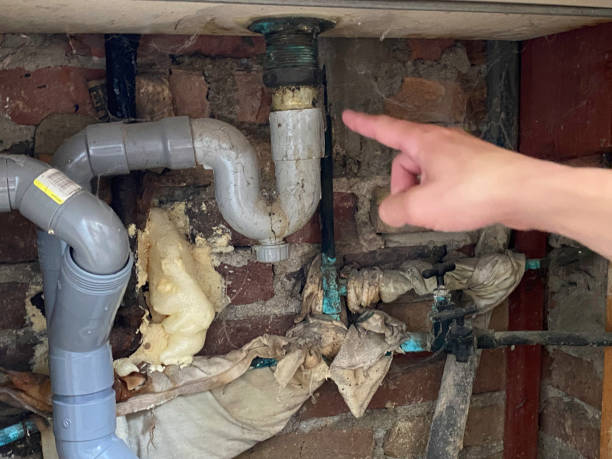 Best Sewage cleanup and water damage restoration  in Pho, IL