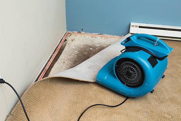 Best Fire Damage Restoration  in Pho, IL