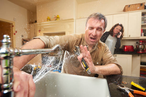 Best Flooded house restoration  in Pho, IL